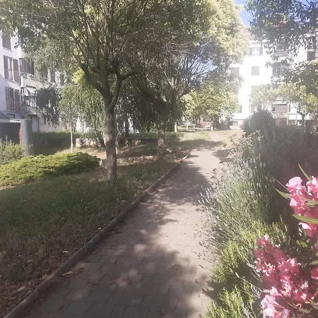 App Kolar Umago